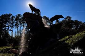 Nc State Wolfpack Statue And Fountain At Carter Finley