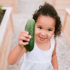 A Dreamy Kitchen Garden Built for Generations This gorgeous kitchen garden  was the perfect addition to the family landscape project. With a fresh  patio, pool, lush landscape, and now… fresh veggies and
