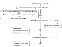 Texte intégral, sans publicité ni brimborions. Https Sofia Medicalistes Fr Spip Img Pdf Peritonites Philippe Montravers Paris Pdf