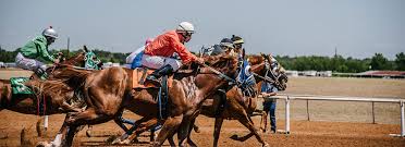 Our game plan for you! The Best Virtual Horse Racing Games For Pc And Consoles Gamerz Unite