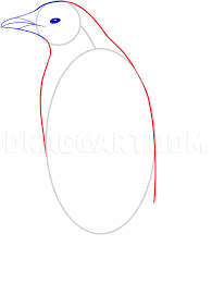Drawing a baby penguin is really similar, so it should be easy for you now! How To Draw A Penguin Step By Step Drawing Guide By Dawn Dragoart Com