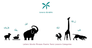Arabic alphabet, are twenty eight letters. Arabic Vowels