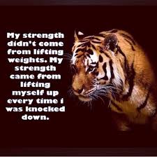 Tiger Quotes Tiger Quotes Stay Strong Quotes Squat Quotes