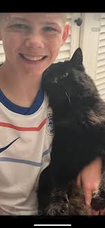 Grief and support for loss of a beloved pet