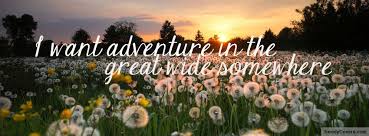 Dandelions Coverphoto Facebook Beauty And The Beast I Want Adventure In The Great Wide Somewhere Timeline Cover Photos Facebook Cover Images Cover Pics