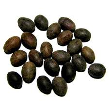 Poshmark makes shopping fun, affordable & easy! Kamal Gatta Seed à¤à¤®à¤² à¤ à¤¬ à¤ C S Traders Katihar Id 21176031733