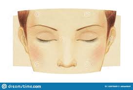 Nmerwt schneiden schablonen papier karten sammelalbum dekor, schön stanzschablonen metall schneiden schablonen für diy scrapbooking. Fragment Des Gesichtes Eines Jungen Ma Dchens Mit Geschlossenen Augen Ohne Make Up Schablone Fa R Make Up Grafikdiagramm Mit Farb Stock Abbildung Illustration Von Wimpern Schon 143879655