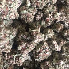 The strain's sweet grape flavor also pushed future breeders in that direction, as a balance to the acrid diesel notes associated with both og kush and sour diesel. Gucci Og Aka Gucci Og Kush Marijuana Strain Information Leafly