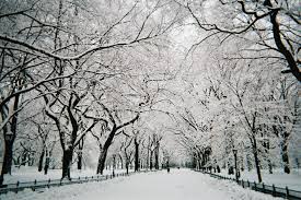 Image result for nyc in snow