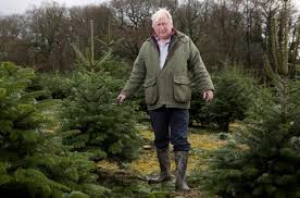 Guava tree farming is profitable with a small piece of land. Noble Fir Could Be Profitable Diversification For Welsh Farms Says Grower Business Wales