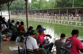 Telaga Kukusan Kolam Galapung 52 Lapak Kolam Lomba 72 Lapak Kabar Mancing
