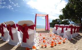 We did not find results for: Hibiscus As A Wedding Flower The Many Variety Of Uses Wedding In Hawaii