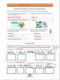 Amoeba sisters video recap of meiosis answer key pdf. Photosynthesis And Cellular Respiration Biology Organisms