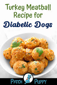 Feeding a diabetic dog can be tricky. 9 Recipes For Dog Friendly Meatballs Patchpuppy Com Simple And Tasty For The Whole Family Diabetic Dog Treat Recipe Healthy Dog Food Recipes Diabetic Dog Food