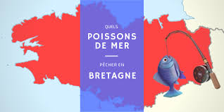 Nouveau dictionnaire général des pêches (fr); Quel Poisson De Mer Pecher En Bretagne Mieuxpecher Com