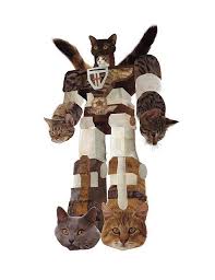 If You Re Happy And You Know It Say Meow Meowtron With Images Funny Cute Cats Funny Cat Pictures Crazy Cats