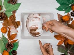 We did not find results for: Herbstdeko Basteln Diy Kurbis Mit Nagellack Marmorieren