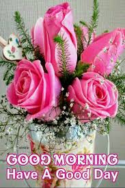 Good Morning Rose Flower Wallpaper Rose Flower Arrangements Flowers Bouquet Gift