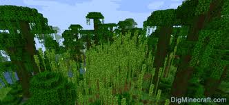 This is the perfect seed if you want to live in trees! Minecraft Bamboo Jungle Seeds For Bedrock Edition