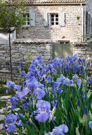 Rou Estate Corfu Photo Clive Nichols Iris Flowers Iris Garden Garden Design
