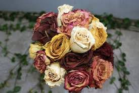 For these popular flowers, follow the chart if you have the time and want to ensure that your flowers are preserved in pristine color, you can also leave flowers to dry in the silica sand without. How To Preserve Real Flowers Keep Their Color Ehow Dried Flower Arrangements How To Preserve Flowers Dried Rose Petals