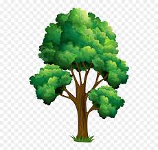 Cartoon tree free vector we have about (24,380 files) free vector in ai, eps, cdr, svg vector illustration graphic art design format. Elm Tree Clipart Realistic Tree Cartoon Drawing Hd Png Download Vhv