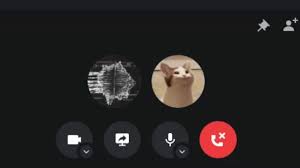 Get inspired by our community of talented artists. Pop Cat In Discord Shorts Youtube
