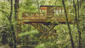 Están construidas en lo alto de un árbol. Fotos 13 Cabanas Donde Puedes Pasar Una Noche En Los Arboles El Viajero El Pais