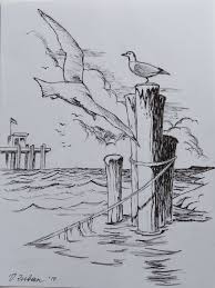 Seagulls Sketch In Ink 8in 6in Viktoria Zuban Us Art Pencil Art Drawings Art Drawings Art Drawings Sketches