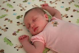 3 Weeks Old Naturally Contrary