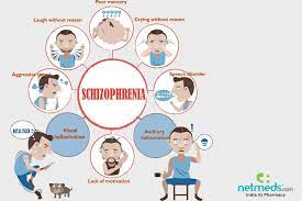 Richard warner, giovanni de girolamo. Schizophrenia Causes Symptoms And Treatment Netmeds
