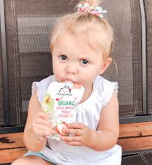 Mama Bear Organic Baby Food Pouches At Home With Haley