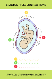All 3 of them she was contracting and panting. What Are The Signs Of False Labor Stuff4tots Com