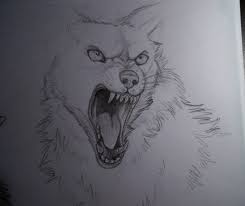 Hard wolf pictures to draw. Random Wolf Sketch By Seasaltshrimp On Deviantart