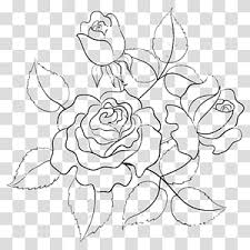 Rose Line Transparent Background Png Cliparts Free Download Hiclipart Drawing line art visual arts idea sketch, sketch decorative floral borders, white flowers illustration free png. rose line transparent background png