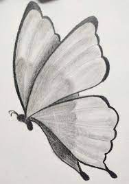 Butterfly Sketching And Shading Easy Realistic Drawings Butterfly Art Drawing Cool Easy Drawings