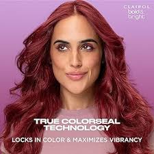 Amazon.com : Clairol Bold & Bright Permanent Hair Dye, 28 Wild Blackberry  Hair Color, Pack of 1 : Beauty & Personal Care