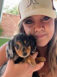 Welcome new dachshund owners to the community