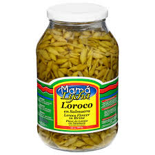 Image result for Loxodera