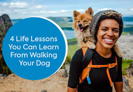 4 Life Lessons You Can Learn From Walking Your Dog