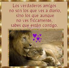 Suenos De Amor Y Magia Los Verdaderos Amigos Frases