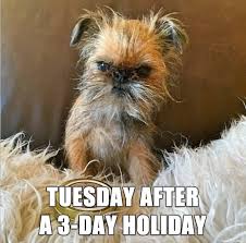 We did not find results for: 22 Tomorrow Is Tuesday Meme Images Photos Picss Mine