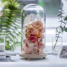 Check spelling or type a new query. Tabletop Display Glass Dome Cloche Cover Decor Dry Flower Ornaments Handmade Craft Bell Jar Wood Color Base With Feet Led Light Bottles Jars Boxes Aliexpress