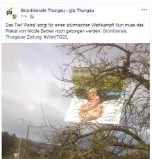 Sturm lustige bilder und foto, videos und sprüche und es kommen täglich neue lustige facebook 10 ganz lustige bilder von menschen und tieren im sturm. Sturm Petra Fegt Uber Die Ostschweiz Schnee Graupel Und Hagel Baugerust In Rorschach Eingesturzt Leiter Steckt In Degersheimer Hauswand St Galler Tagblatt