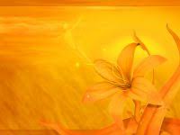 Cute Orange Wallpapers 3d For Mobile Desktop Download