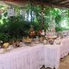 They serve fresh, organically grown salad greens, pasta, tea, and dessert. Https Encrypted Tbn0 Gstatic Com Images Q Tbn And9gcqwxckdkcjwscynxd3hw0gbtml3ds8vlma8sv9hupqnsna4dazs Usqp Cau