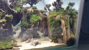The most important function of the aquascape is habitat, the environment. Aquascape The Double Caves Mountain Youtube