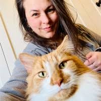 40+ "Amanda Snowden" profiles