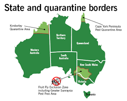 Tells cactus which in this task we will implement the ability to take in parameters from a parameter file and in the next cactus has thorns available to automate parallelisation, and distribute work across distributed. Can I Move Plants Interstate Bspc Removalists