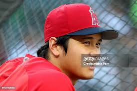 67,062 Abbie Stock Photos, High-Res Pictures, and Images